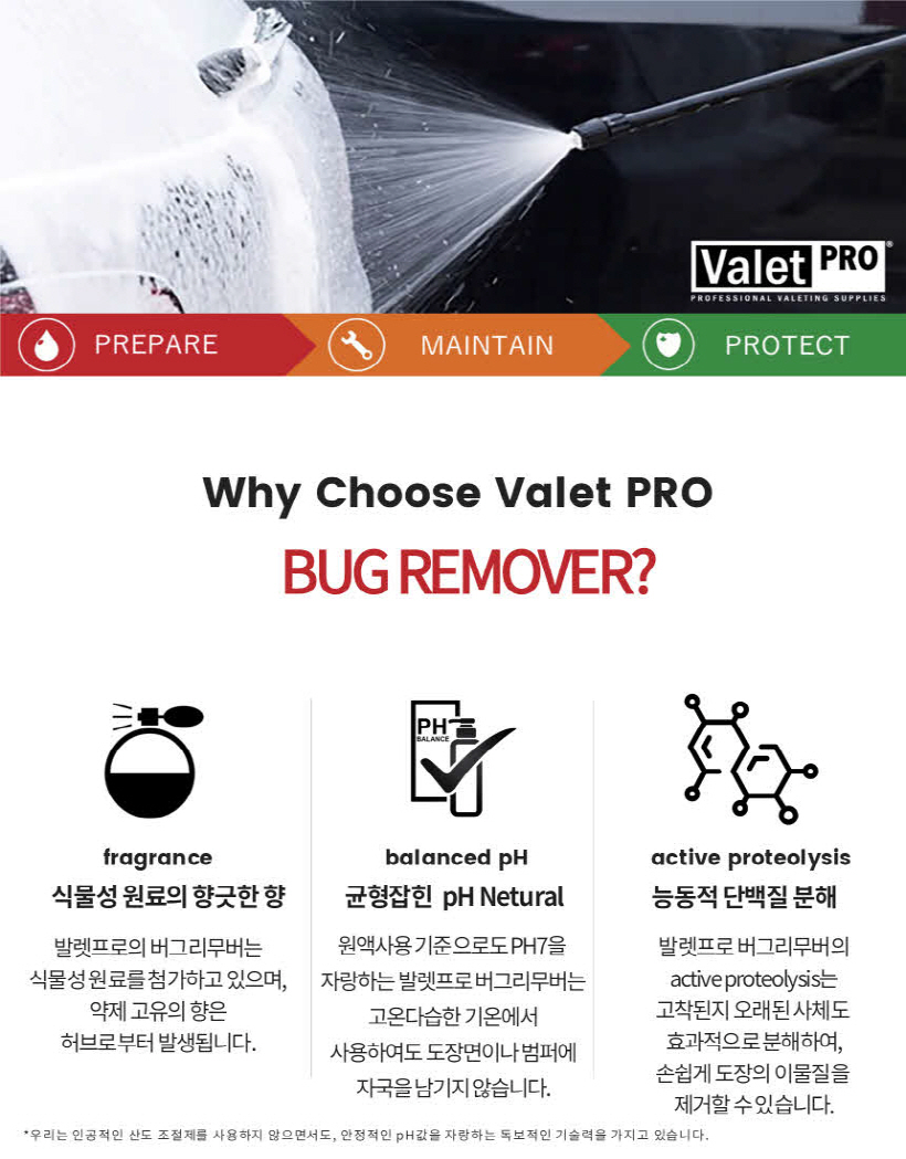 Pro Bug Remover